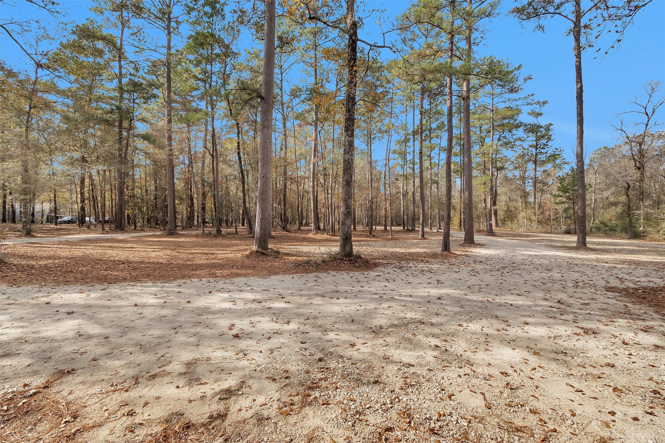 215 Fm 2929 Road Huntsville, TX 77340 - Photo 43 of 50 a view of outdoor space with street view
