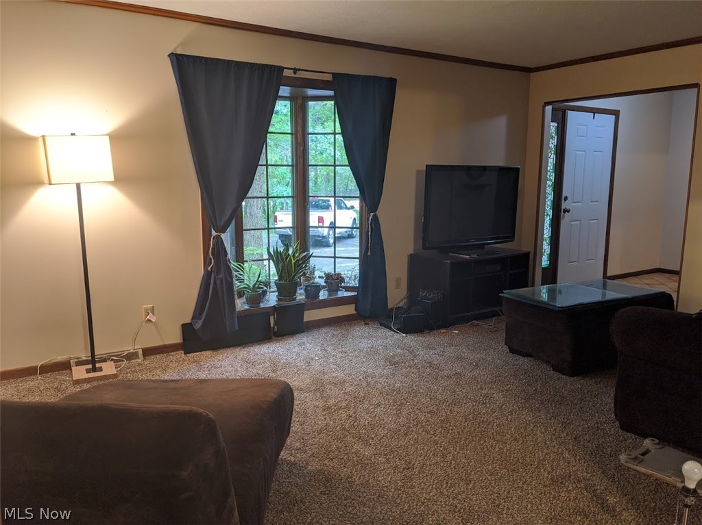 8169 Ravenna Road Painesville, OH 44077 - Photo 11 of 34 Gallery Image 11