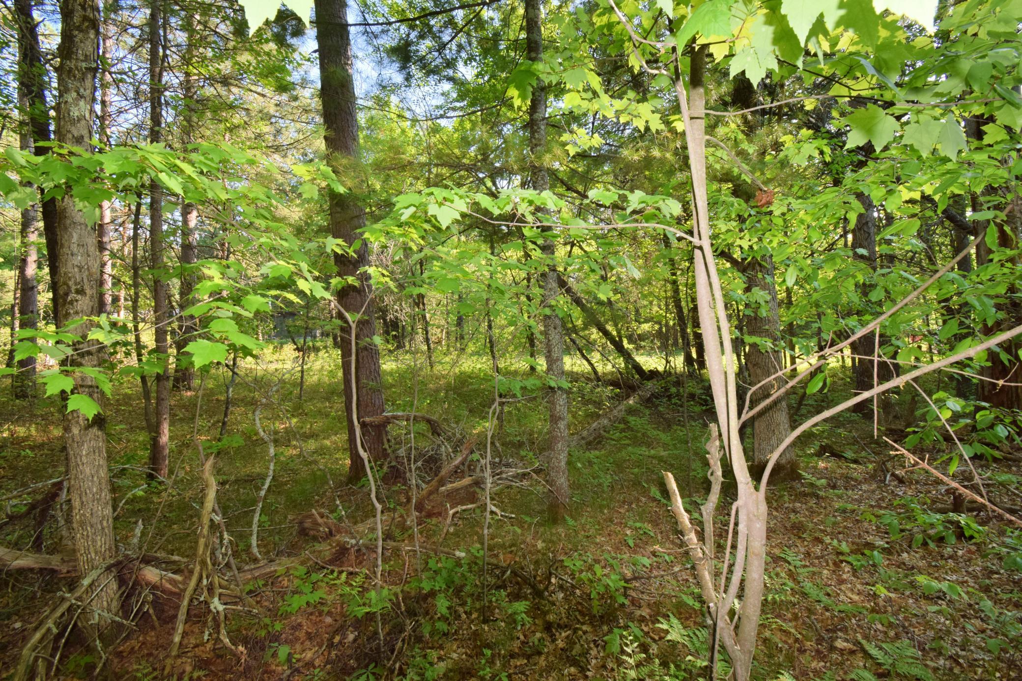 Lot 31 Setting Sun Trail Way Danbury, WI 54830 - Photo 15 of 19