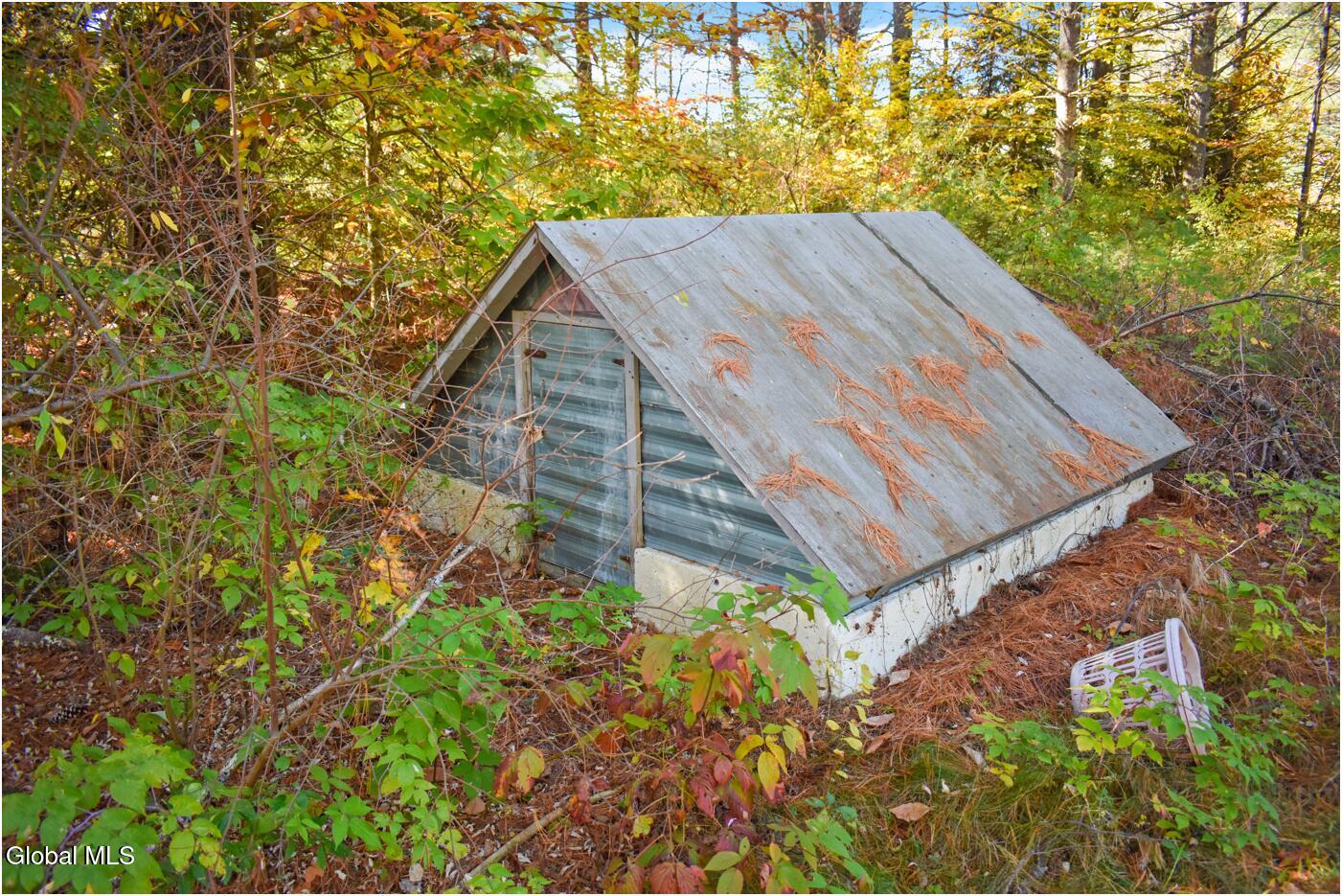 60 Dixon Road Chester, NY 12817 - Photo 7 of 34 em11