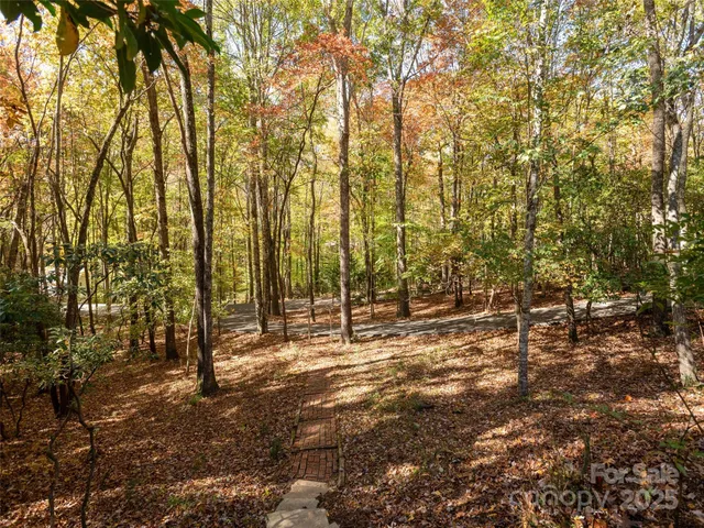 a view of yard with trees