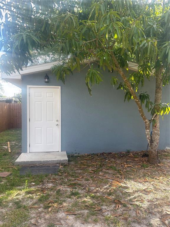 a view of backyard with plants and large tree