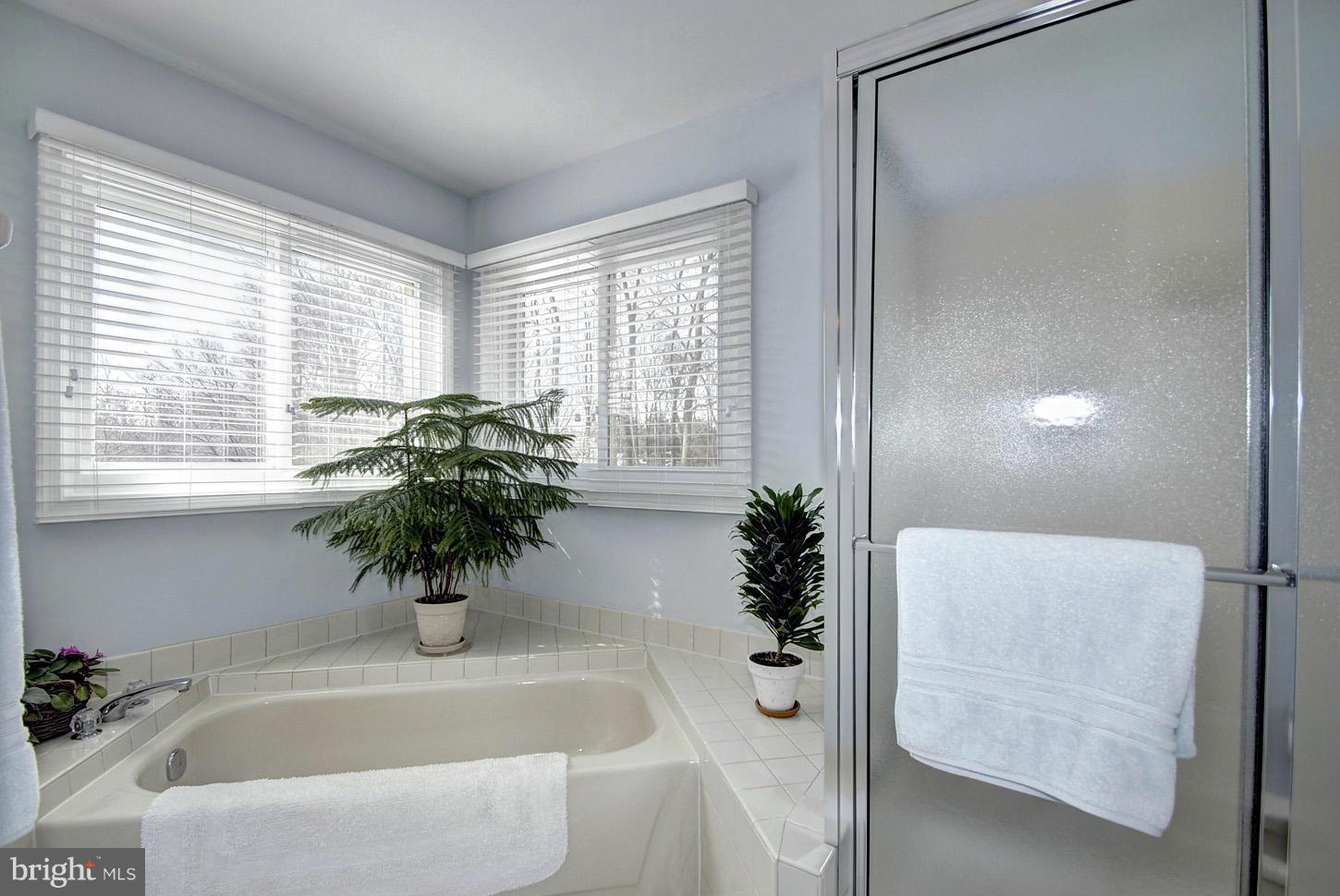 14528 Cutstone Way Silver Spring, MD 20905 - Photo 20 of 30 Bath (Master) with Soaking Tub