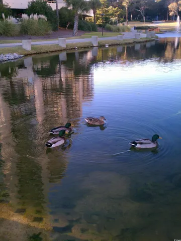 $450,000 | 100 Ocean Creek Drive, Unit M3, Myrtle Beach, SC 29572