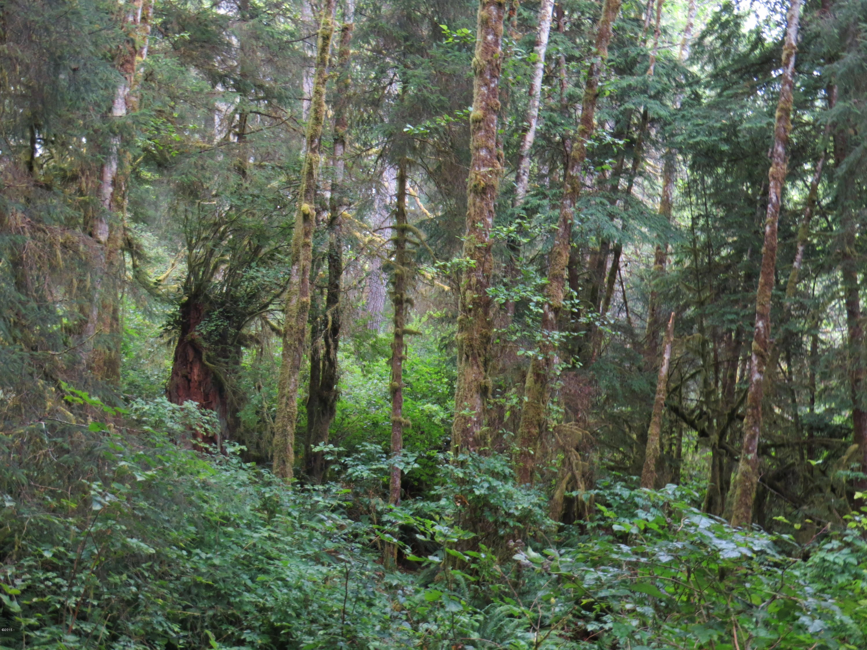 Tl6000 North Beaver Creek Road Seal Rock, OR 97376 - Photo 1 of 3 Hollowell 1