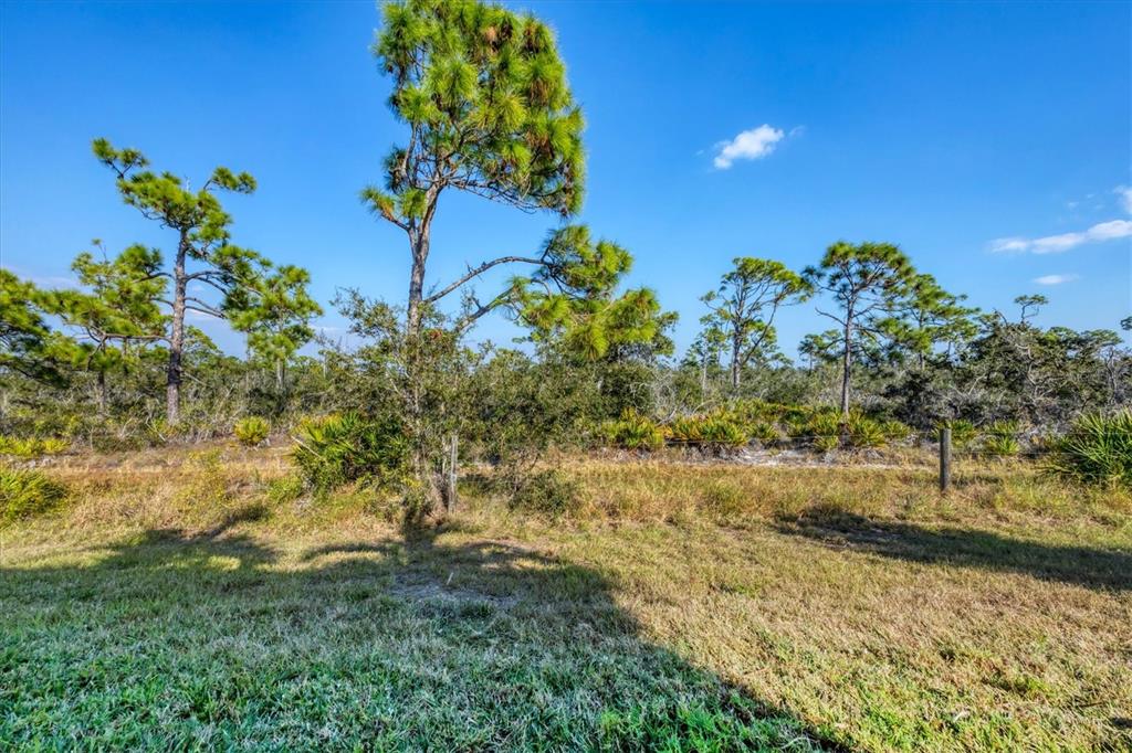 8920 Conch Avenue Placida, FL 33946 - Photo 44 of 57 a view of a yard with flower plants
