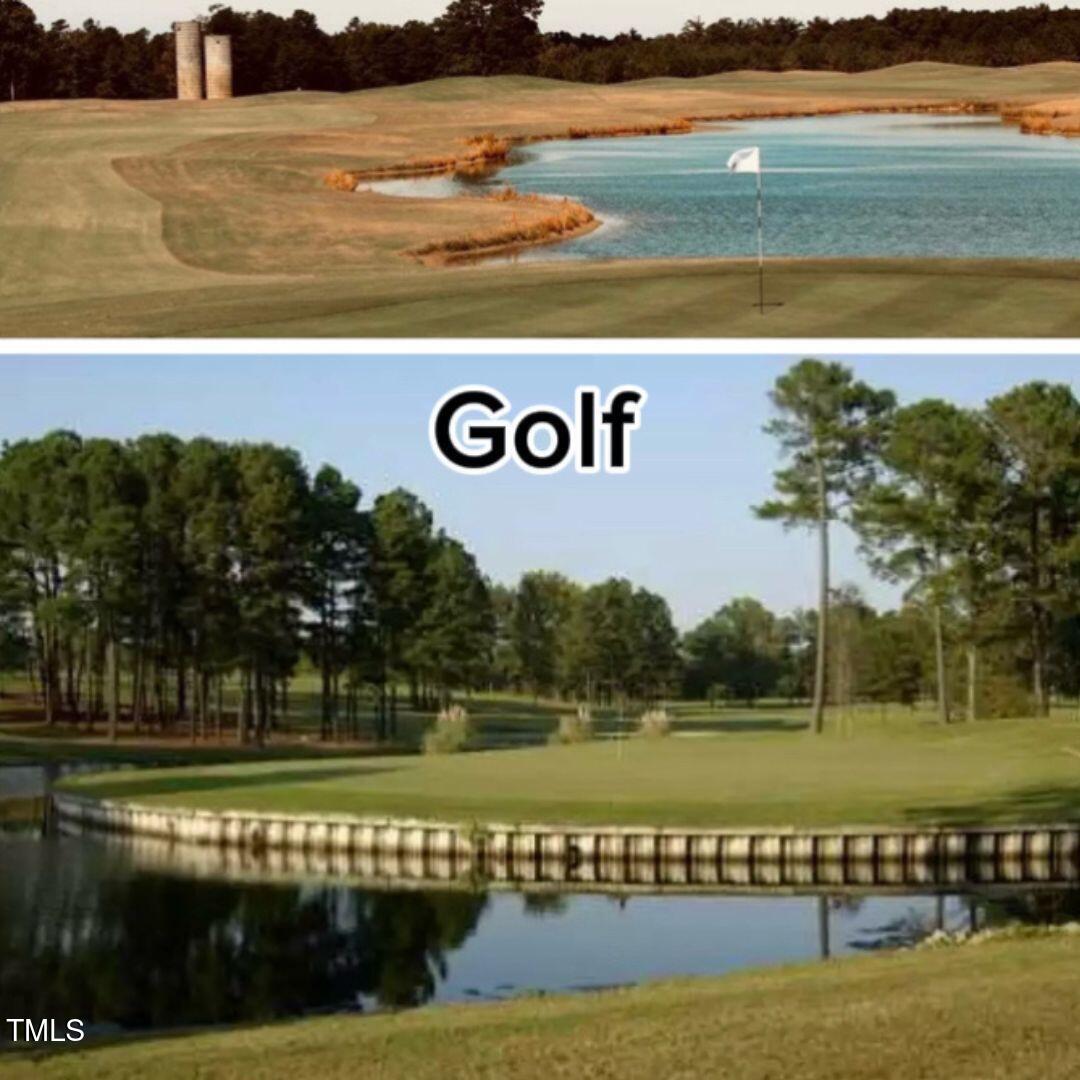 294 White Azalea Way Benson, NC 27504 - Photo 30 of 34 IMG_3355