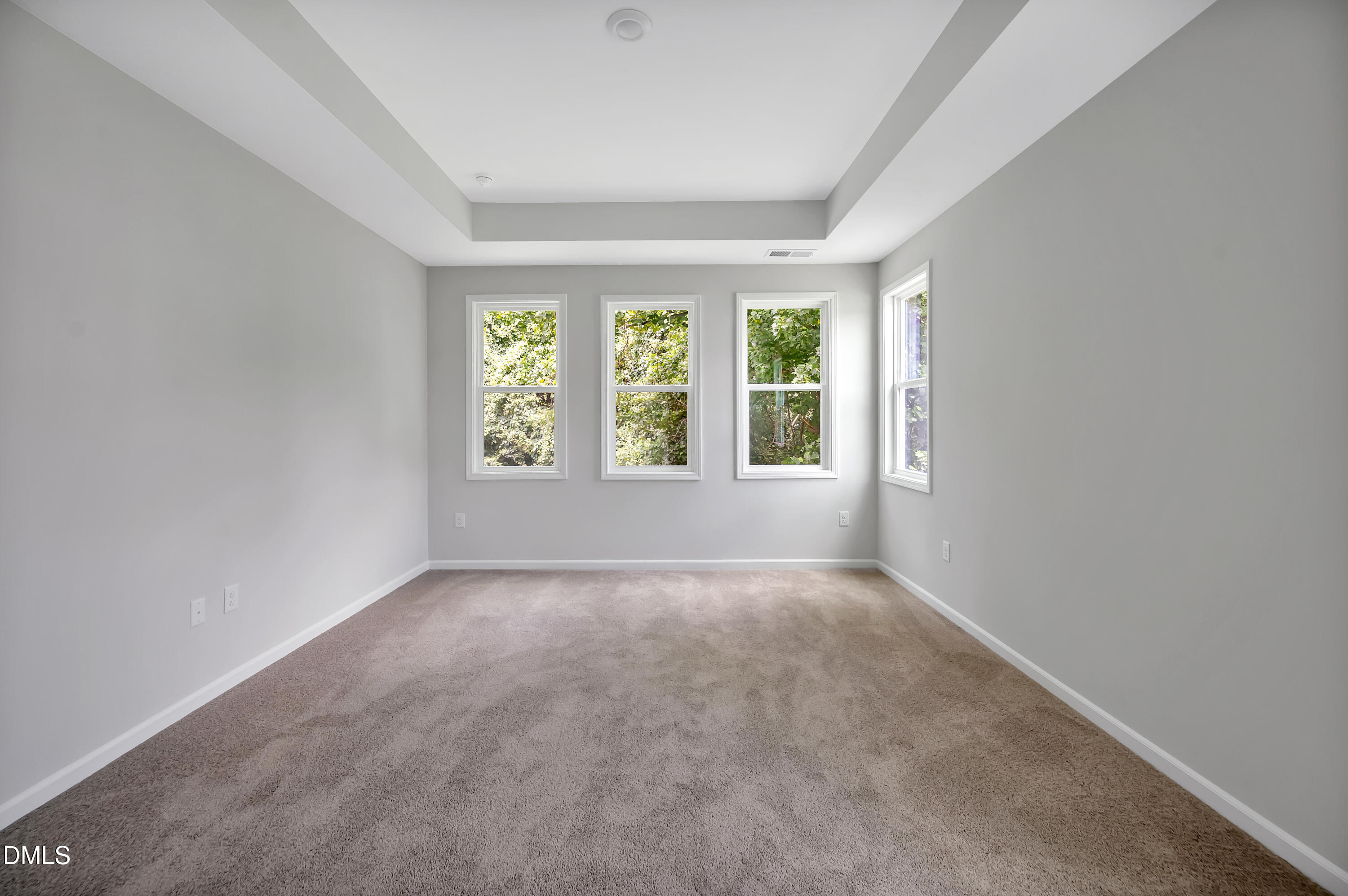 294 White Azalea Way Benson, NC 27504 - Photo 6 of 15 an empty room with windows