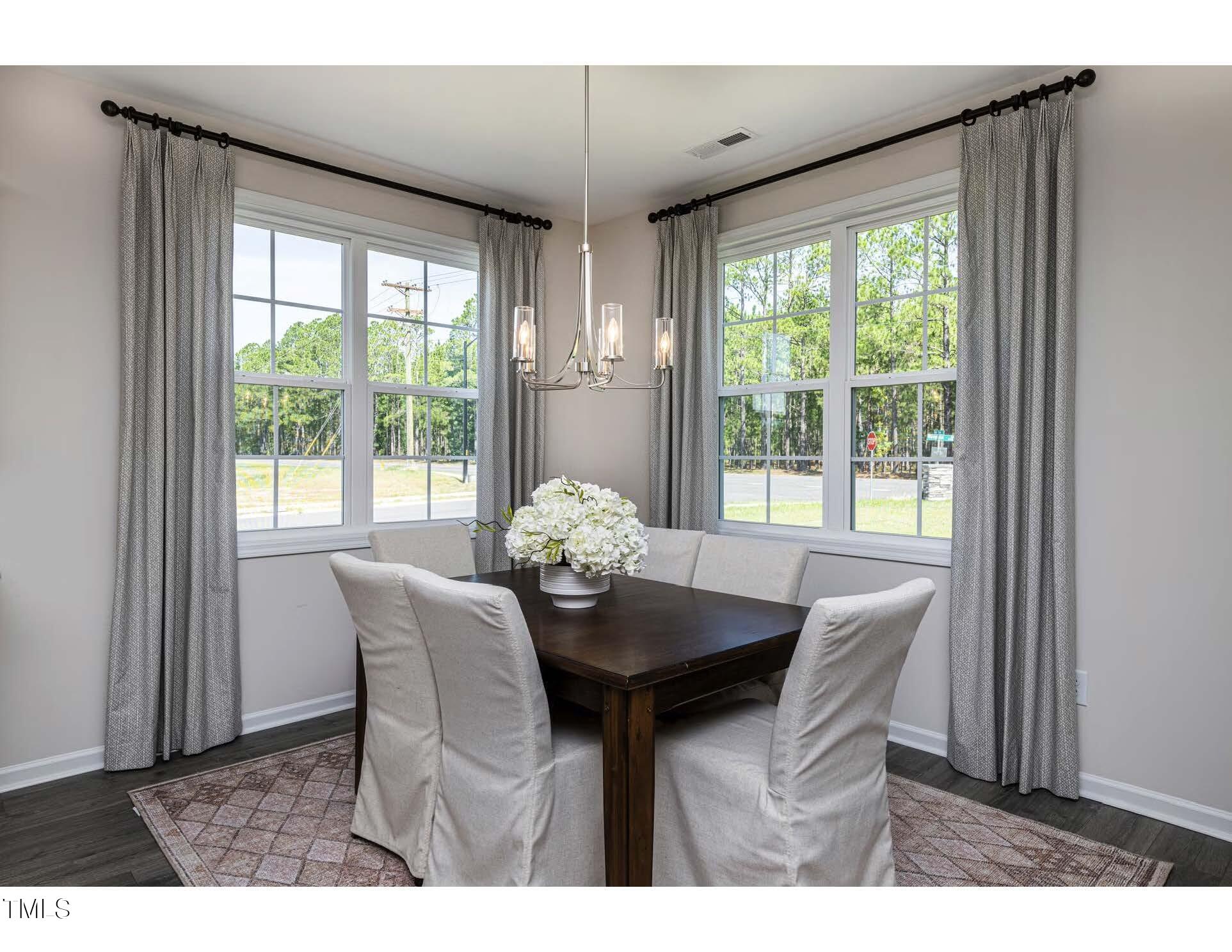 294 White Azalea Way Benson, NC 27504 - Photo 9 of 34 IMG_3002