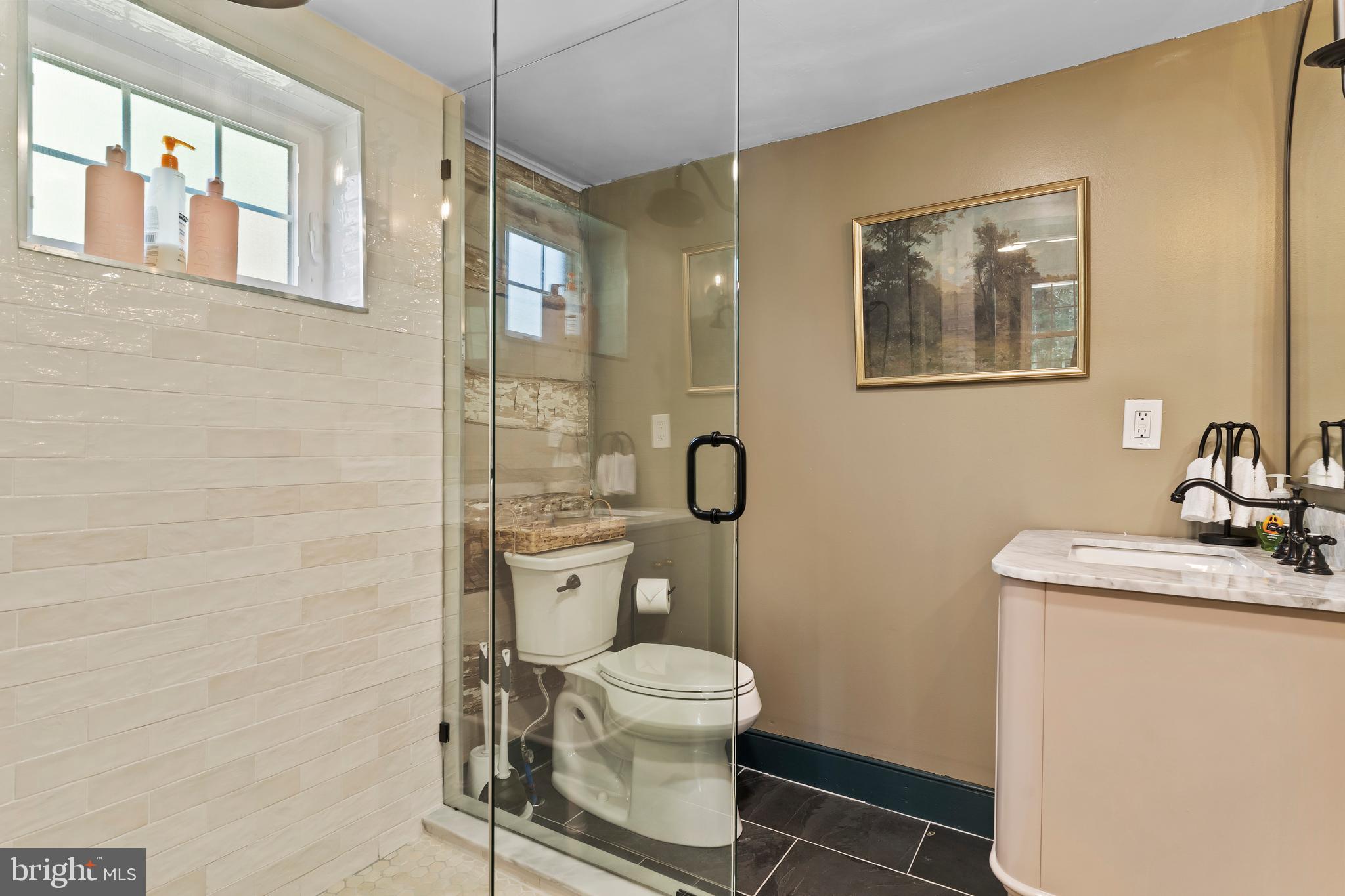 1134 South Mountain Road Dillsburg, PA 17019 - Photo 34 of 66 a bathroom with a toilet a sink and mirror