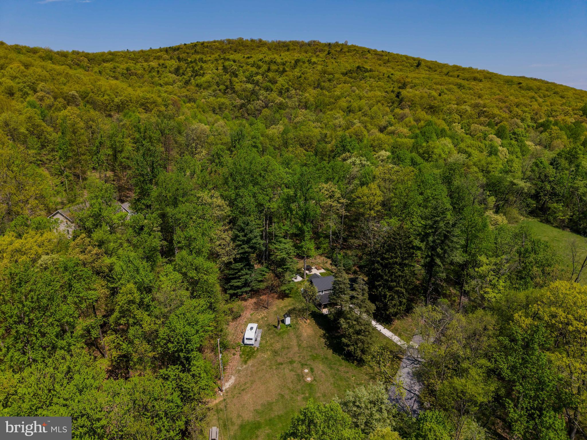 1134 South Mountain Road Dillsburg, PA 17019 - Photo 47 of 66 a view of a large trees