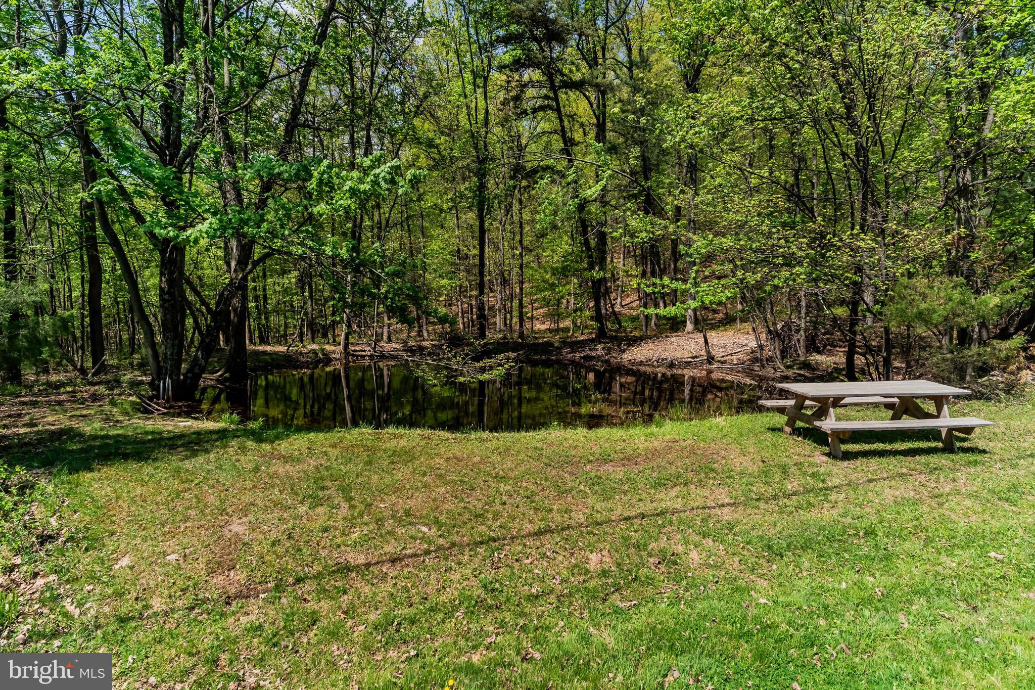 1134 South Mountain Road Dillsburg, PA 17019 - Photo 53 of 66 a view of swimming pool with lawn chairs and large trees