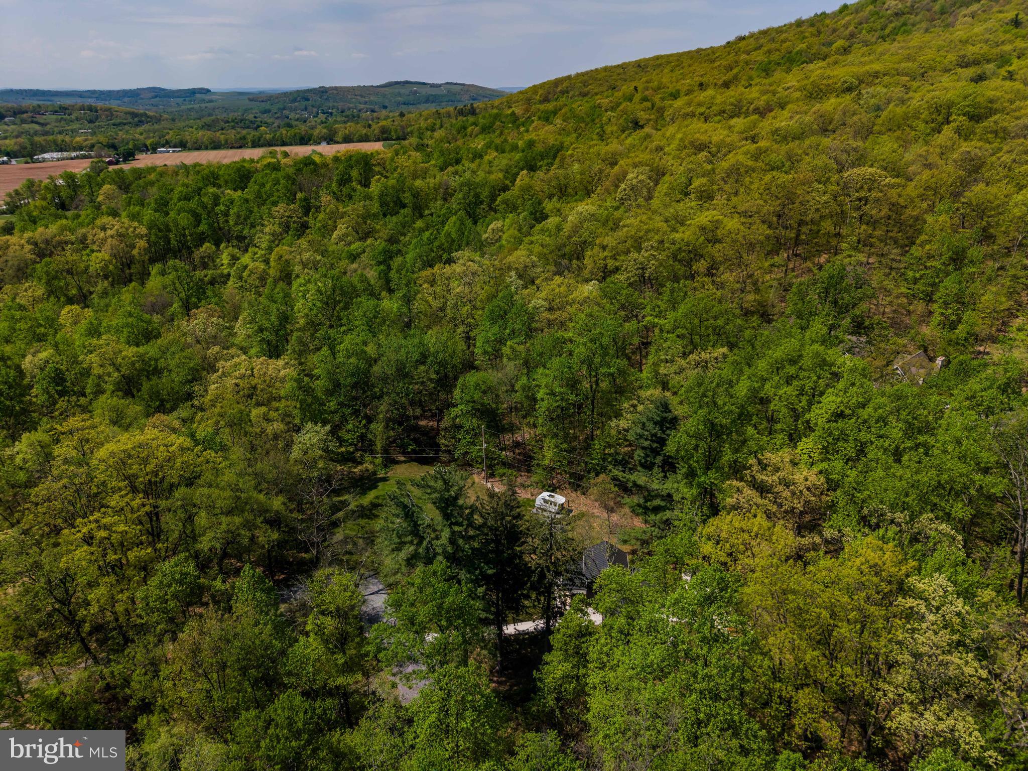 1134 South Mountain Road Dillsburg, PA 17019 - Photo 55 of 66 a view of a forest with a street