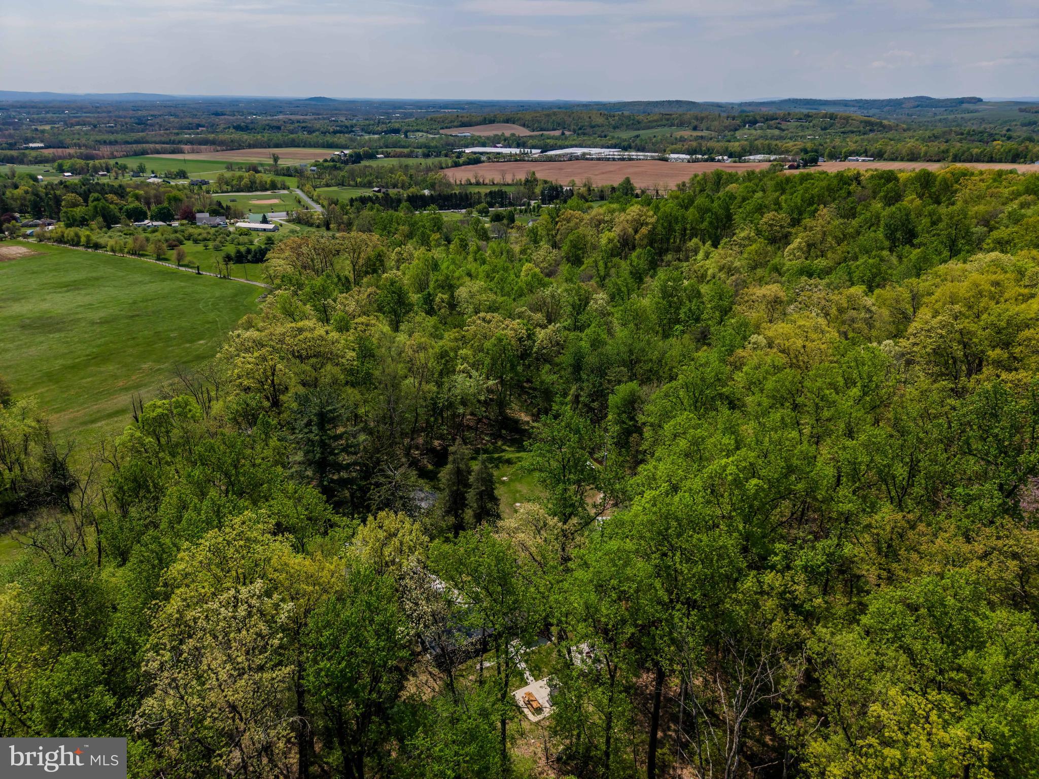 1134 South Mountain Road Dillsburg, PA 17019 - Photo 57 of 66 a view of a lush green field