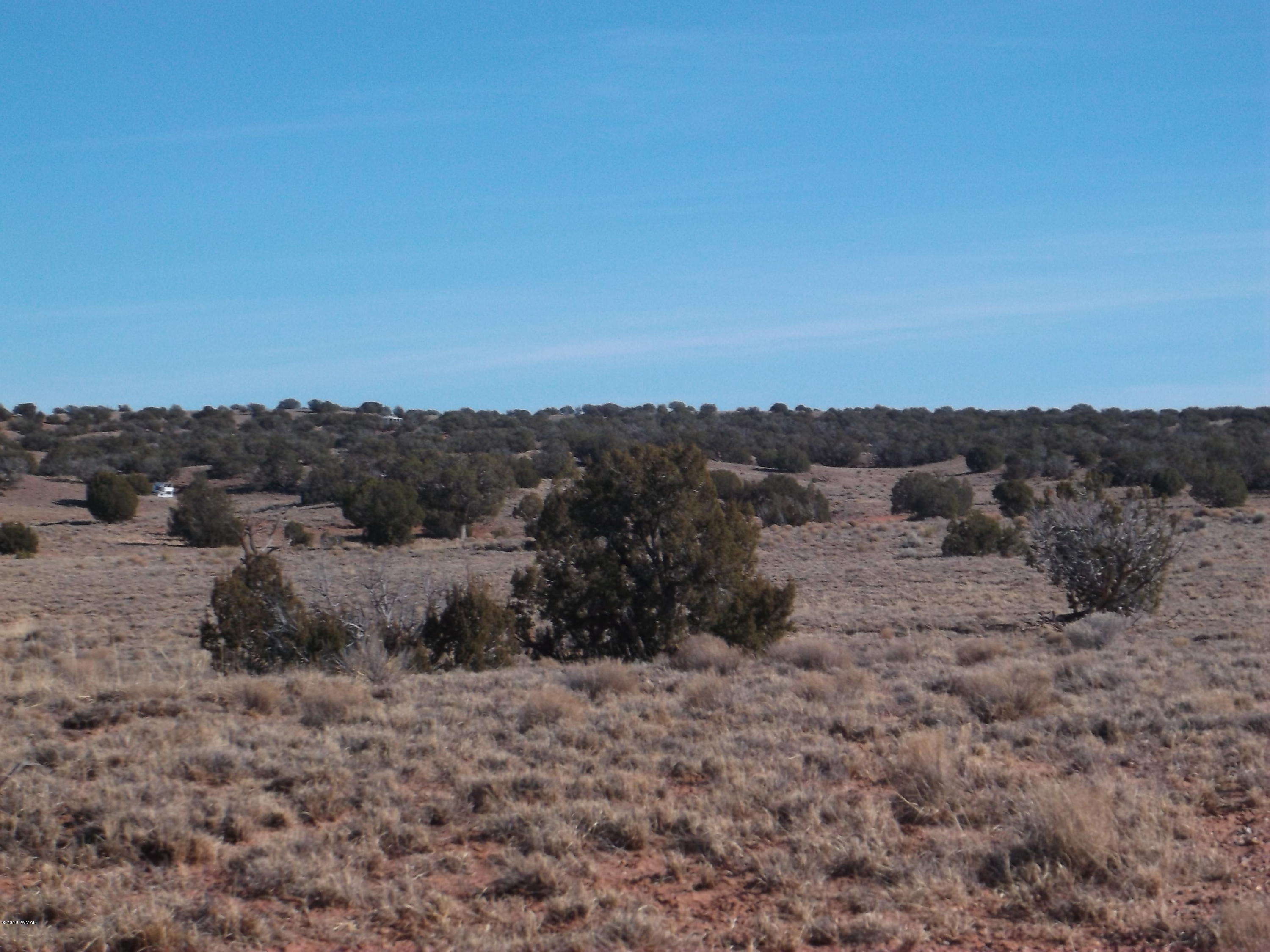 Lot 54 Ranch Road, Unit A1 Concho, AZ 85924 - Photo 1 of 6