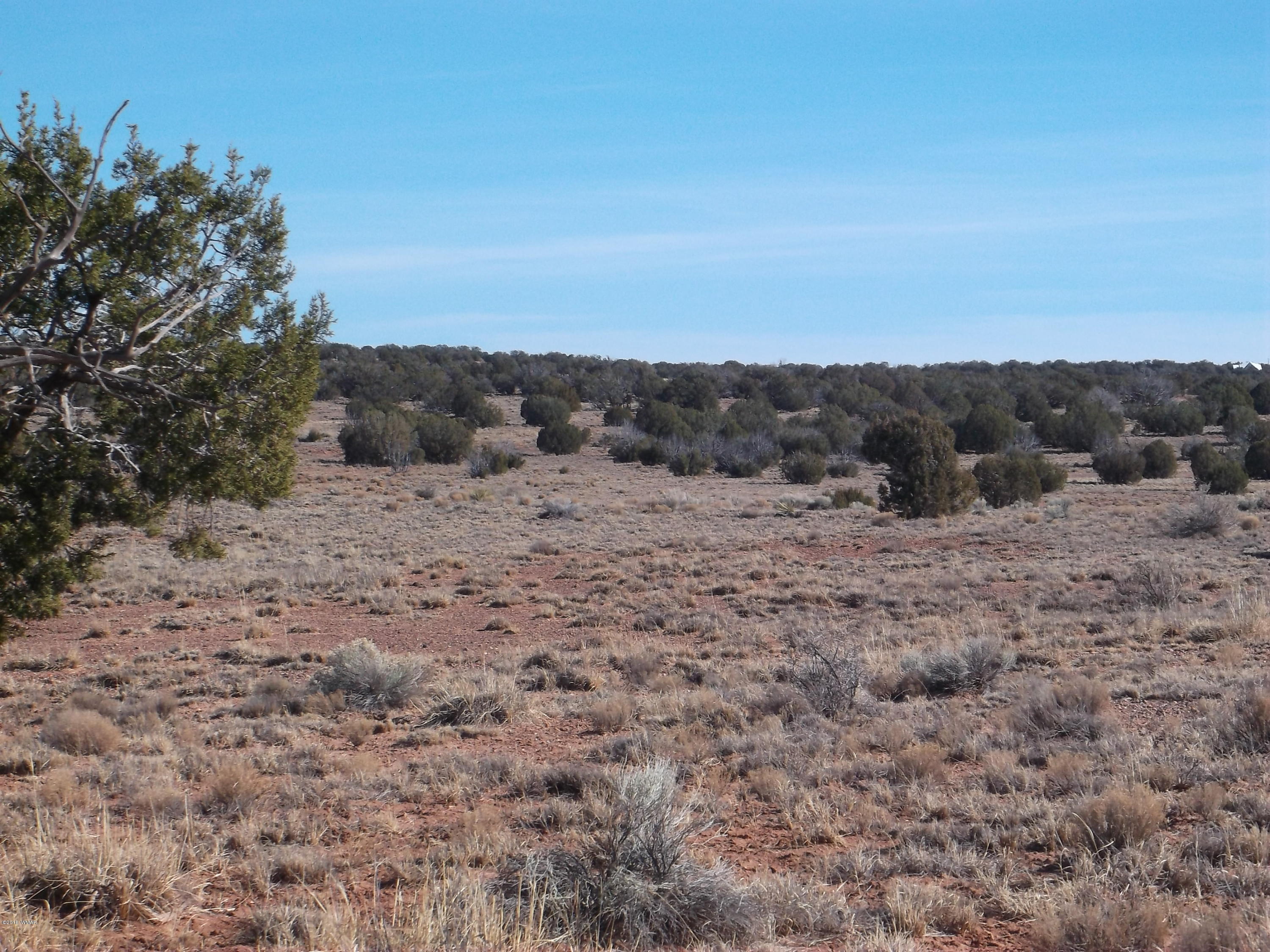 Lot 54 Ranch Road, Unit A1 Concho, AZ 85924 - Photo 2 of 6