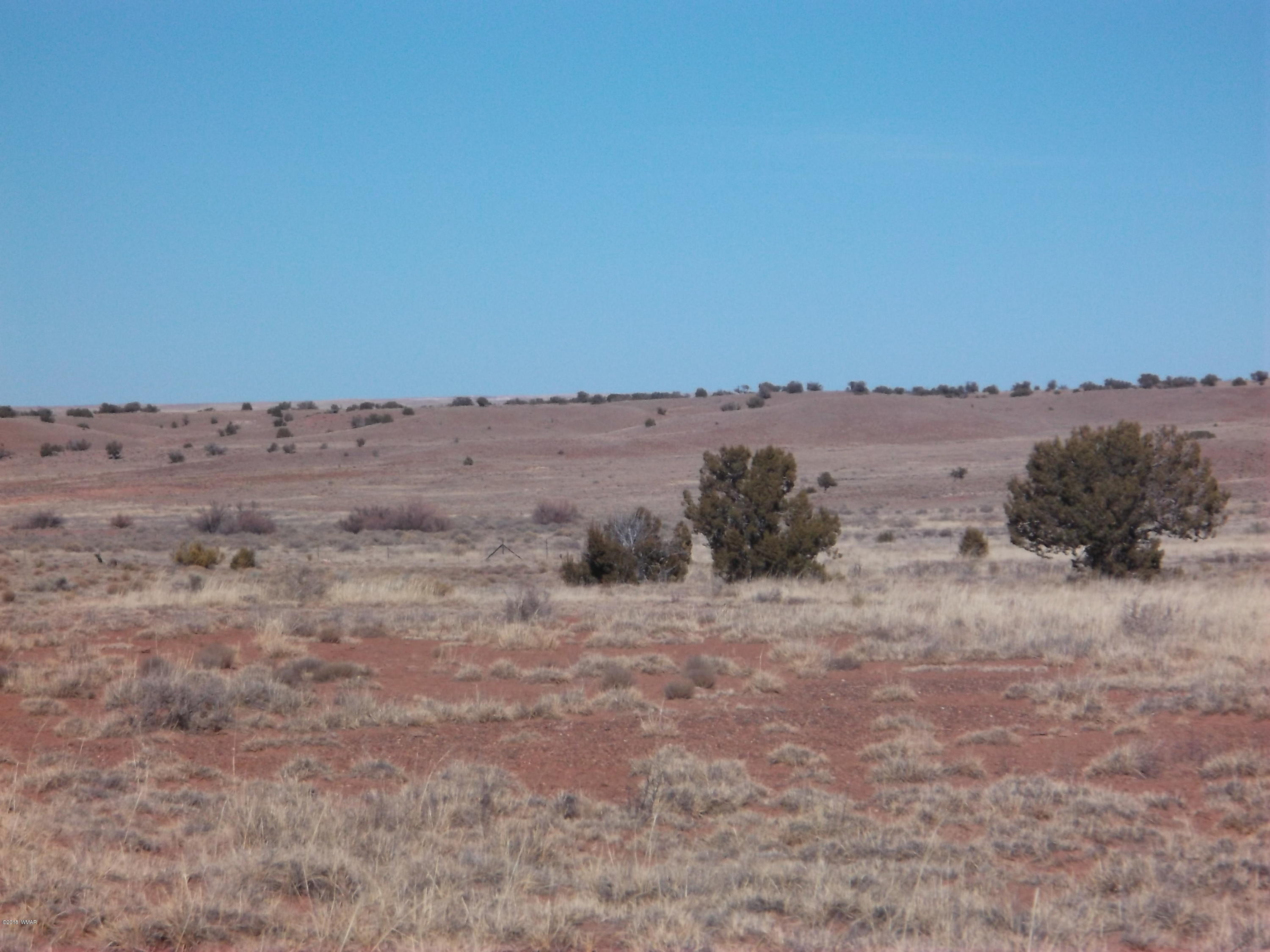 Lot 54 Ranch Road, Unit A1 Concho, AZ 85924 - Photo 3 of 6