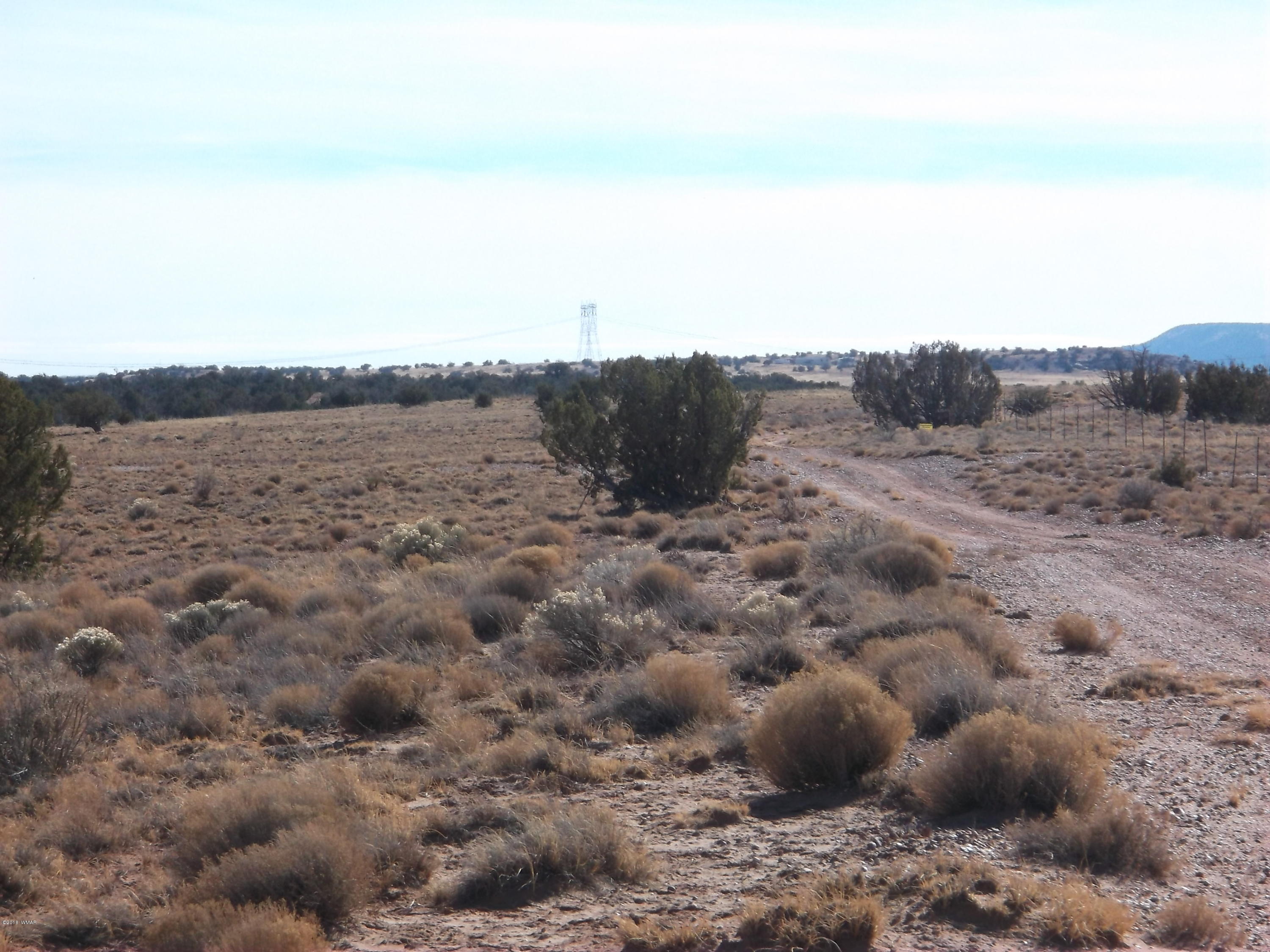 Lot 54 Ranch Road, Unit A1 Concho, AZ 85924 - Photo 4 of 6