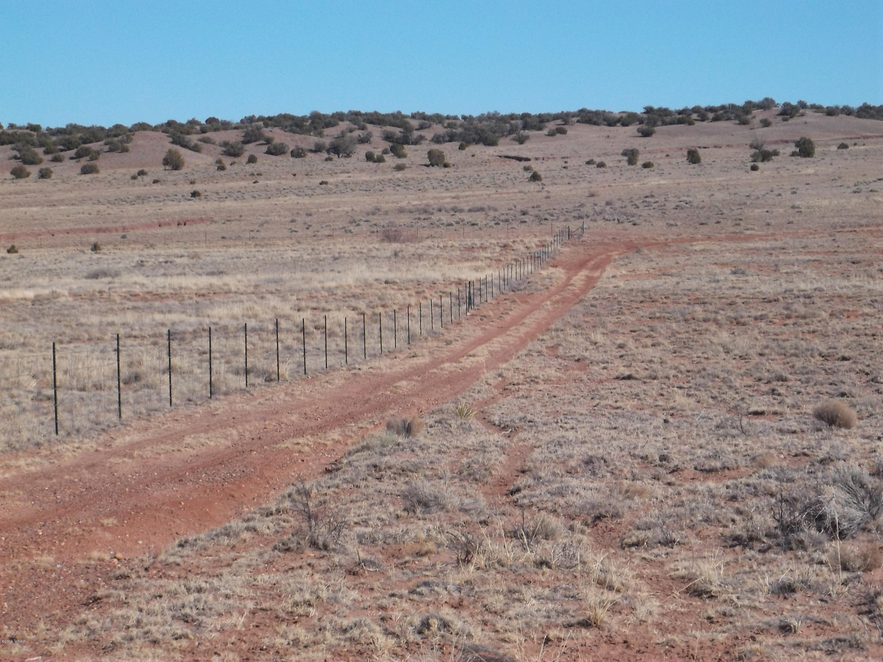Lot 54 Ranch Road, Unit A1 Concho, AZ 85924 - Photo 5 of 6