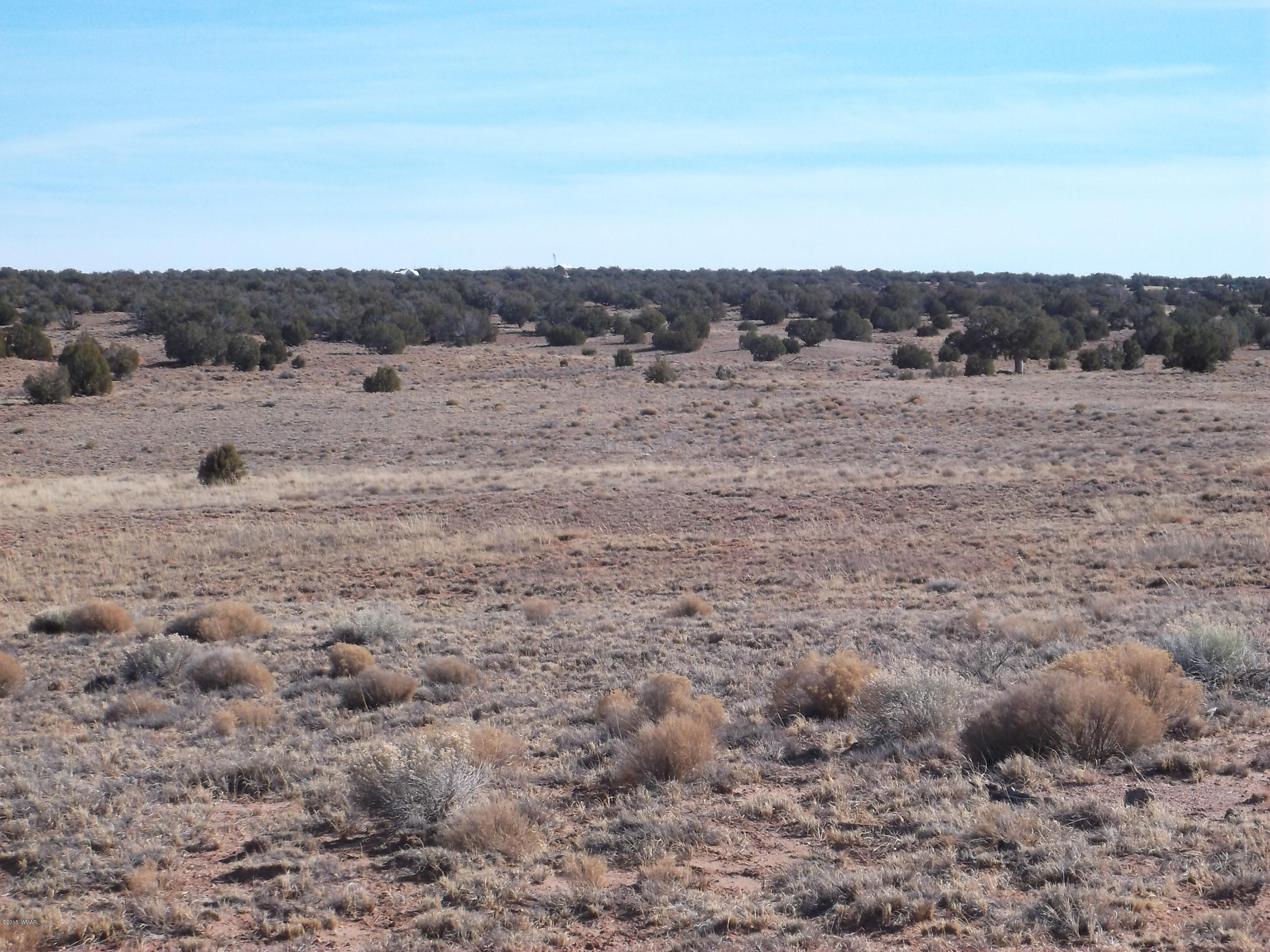 Lot 54 Ranch Road, Unit A1 Concho, AZ 85924 - Photo 6 of 6
