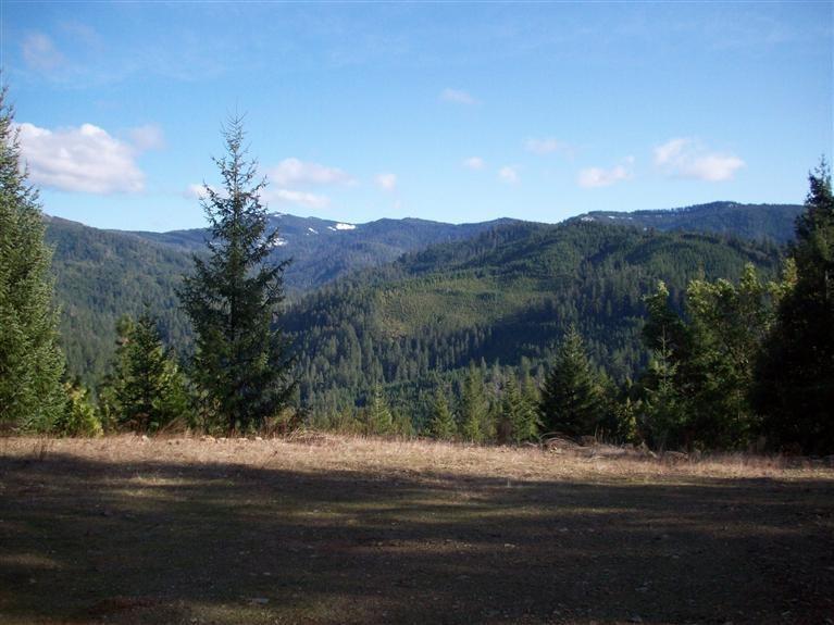 0 French Peak Road, Unit 402 Cave Junction, OR 97523 - Photo 2 of 9 Additional Photo