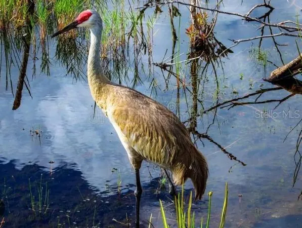 $2,350 | 4456 Streamside Court, Unit 1605, Sarasota, FL 34238