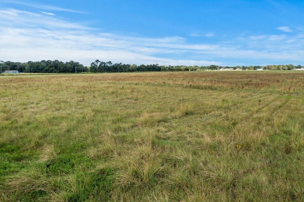 0 Frey Road Welsh, LA 70591 - Photo 5 of 7