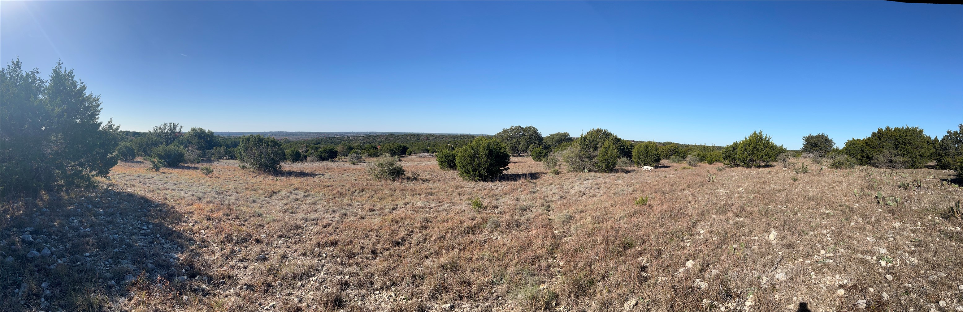 Lot 138 High Point Drive Kempner, TX 76539 - Photo 5 of 17 a view of a dry yard with wooden fence