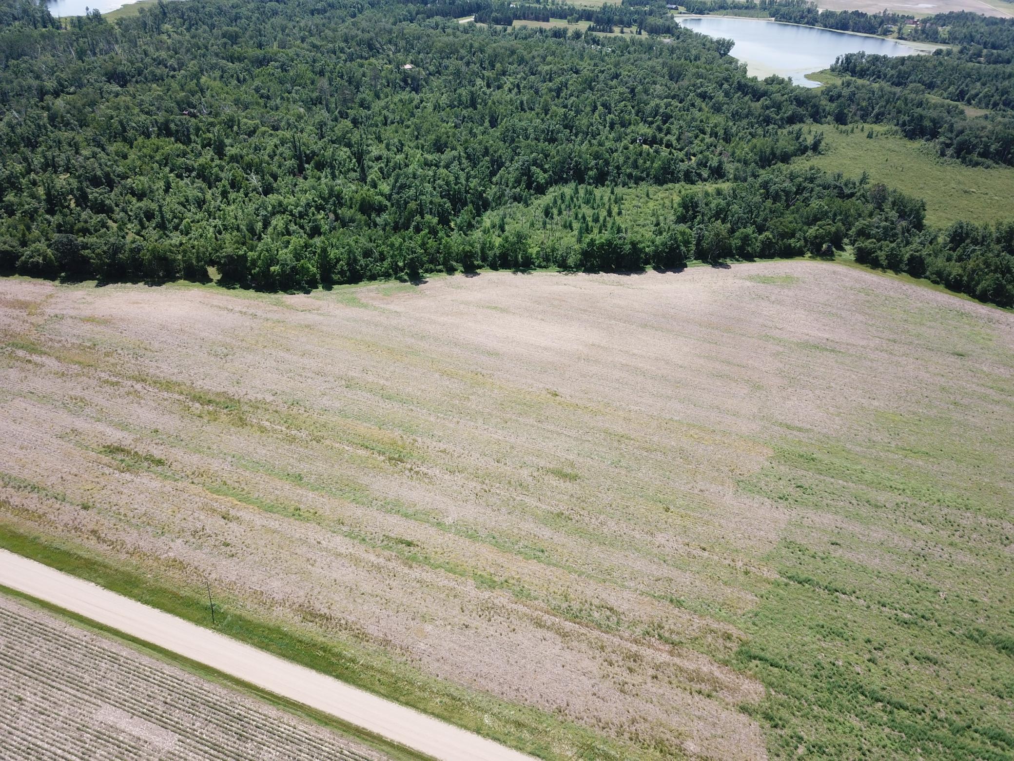 Tbd Boot Lake Road Southwest Bemidji, MN 56601 - Photo 12 of 55