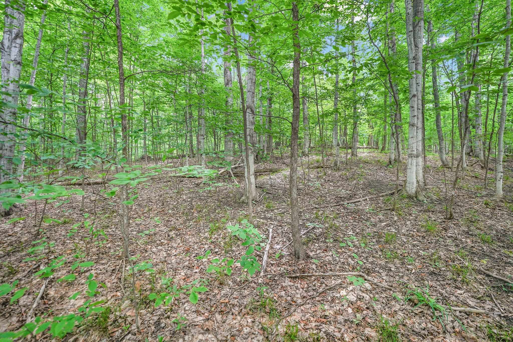 V/l South Coleman Road Maple City, MI 49664 - Photo 3 of 22