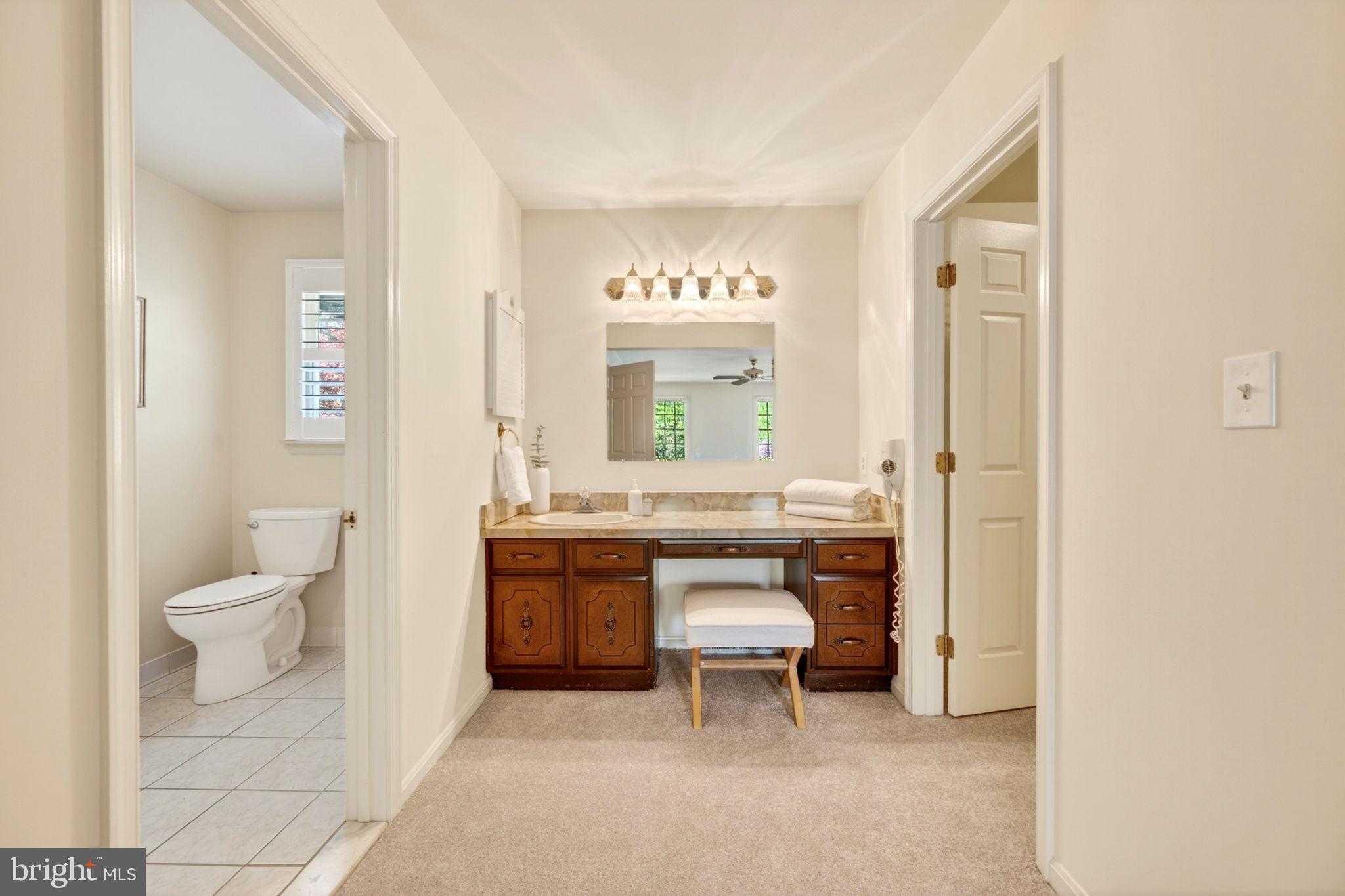 3805 Duddington Way Phoenix, MD 21131 - Photo 33 of 69 a bathroom with a toilet a sink and a mirror