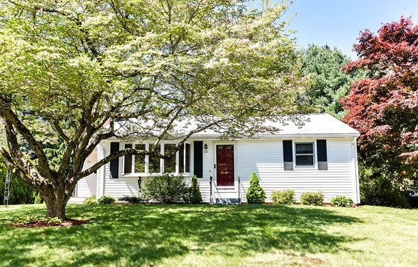 20 Elmfield Road Framingham, MA 01701 - Photo 3 of 29