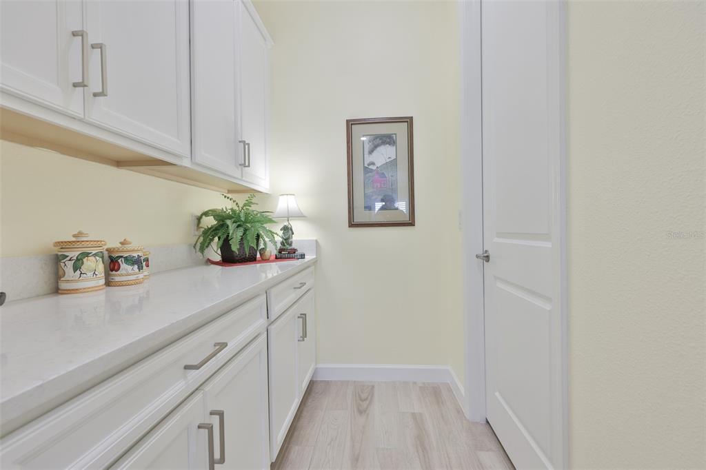 16955 Scuba Crest Street Wimauma, FL 33598 - Photo 17 of 59