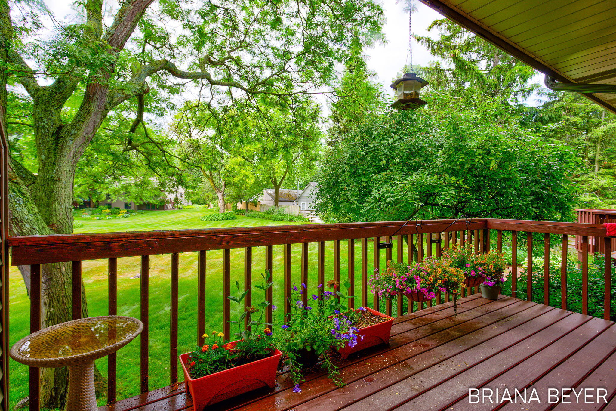 646 Spring Lane Holland, MI 49423 - Photo 7 of 43 8-web-or-mls-646-spring-ln