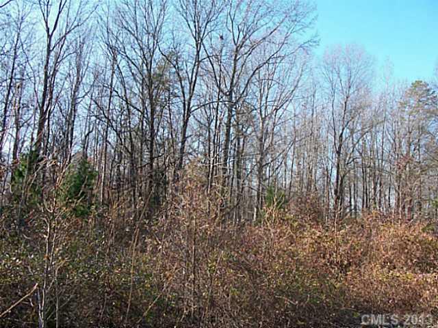 Lot C Mingus Road Charlotte, NC 28216 - Photo 4 of 6 Gallery Image 4