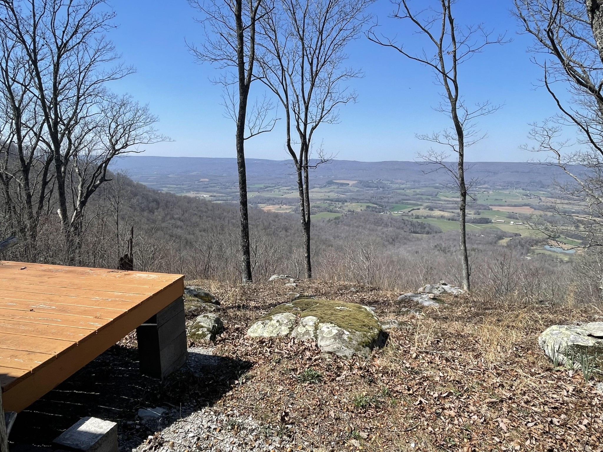 1 Porch Rock Road Pikeville, TN 37367 - Photo 3 of 19 Gallery Image 3