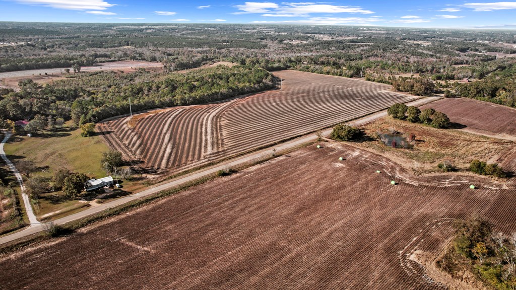 0 Gilley Mill Road Headland, AL 36345 - Photo 10 of 14