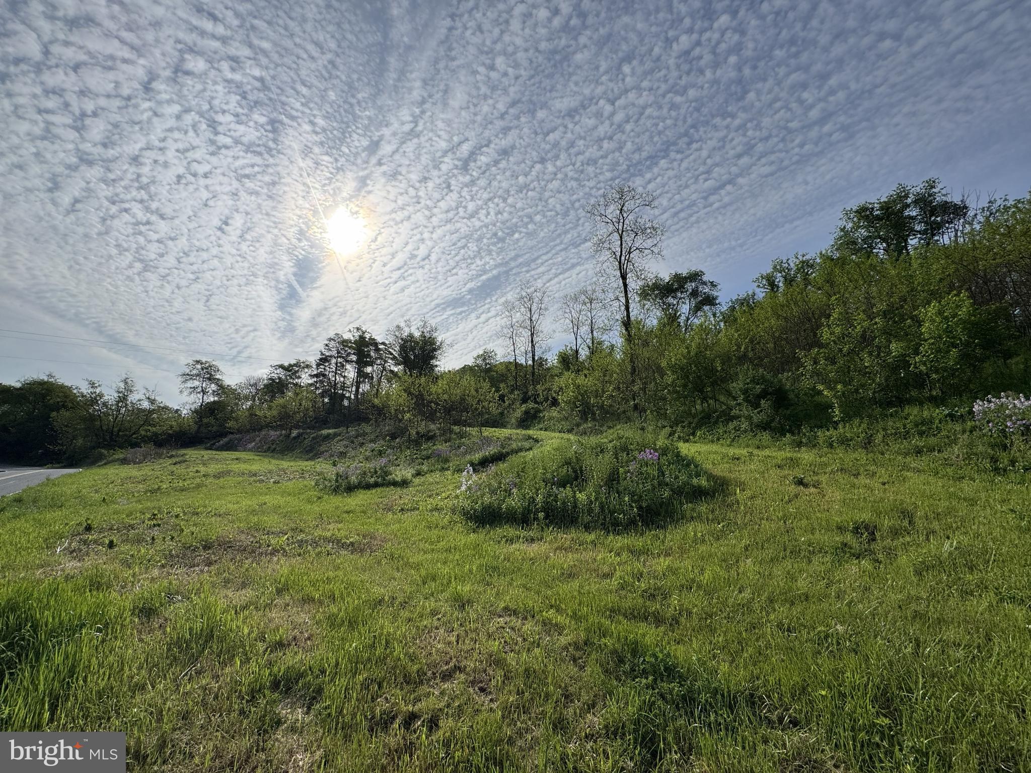2781 Buffalo Run Road Bellefonte, PA 16823 - Photo 17 of 17 a view of a field of grass and trees