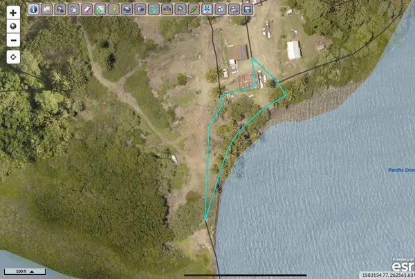 a close up of a plant in a bathroom