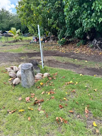 a backyard of a house with lots of green space