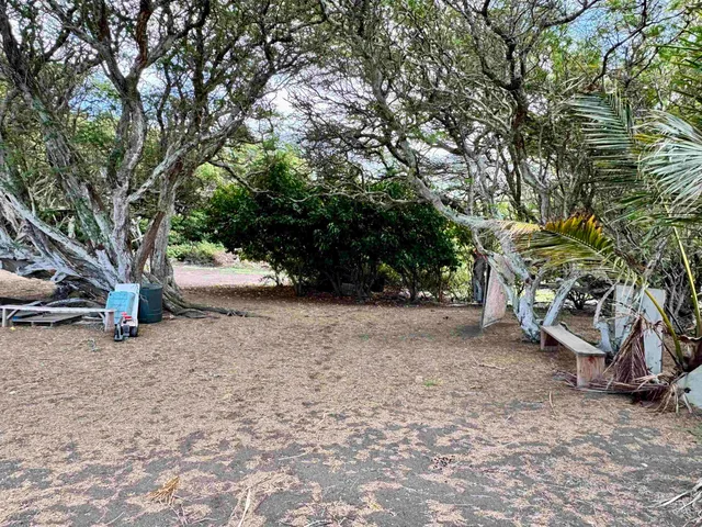 a view of a yard with a table and chair in the outdoor space