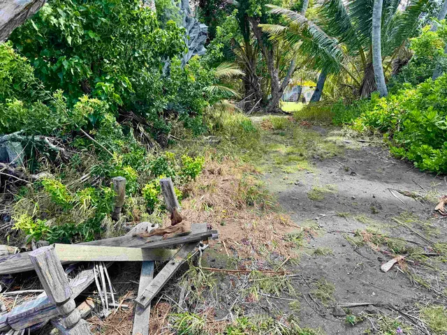 view of a swimming pool with a potted plant