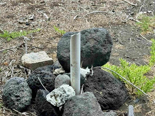 a view of a chairs and table in a backyard