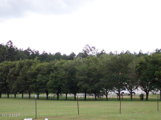 848 Alford Road Chipley, FL 32428 - Photo 3 of 4
