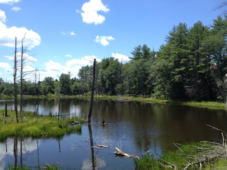213 Villager Road, Unit LOT #47 Chester, NH 03036 - Photo 35 of 39