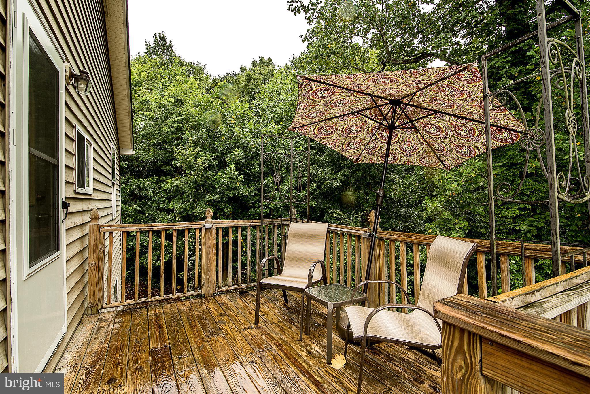 8320 Lambs Creek Church Road King George, VA 22485 - Photo 5 of 29 Back Deck