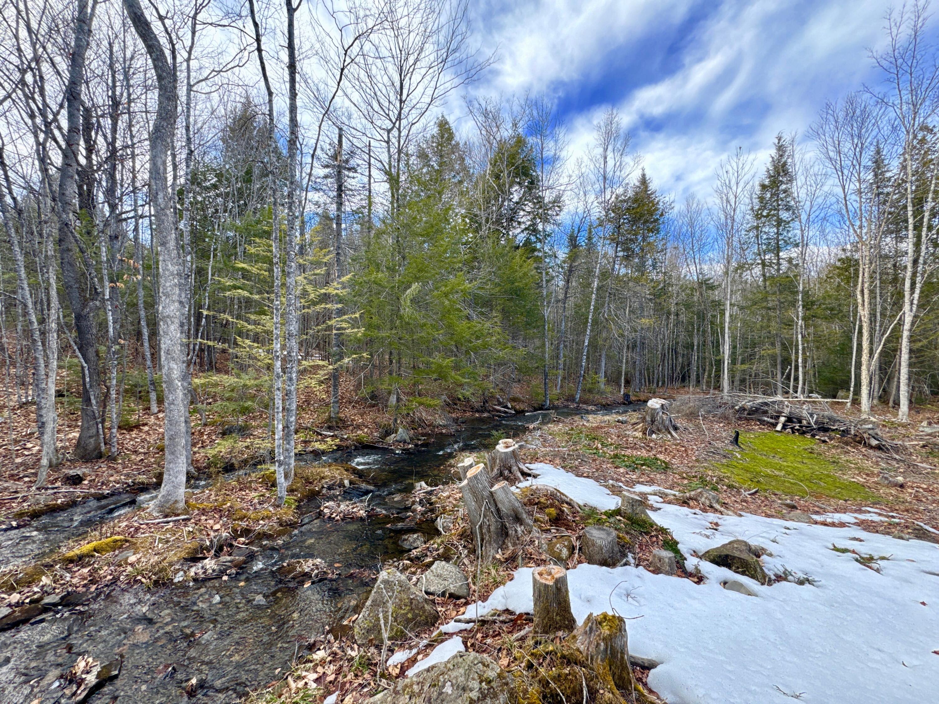 1301 Milo Road Sebec, ME 04481 - Photo 5 of 7 IMG_2902