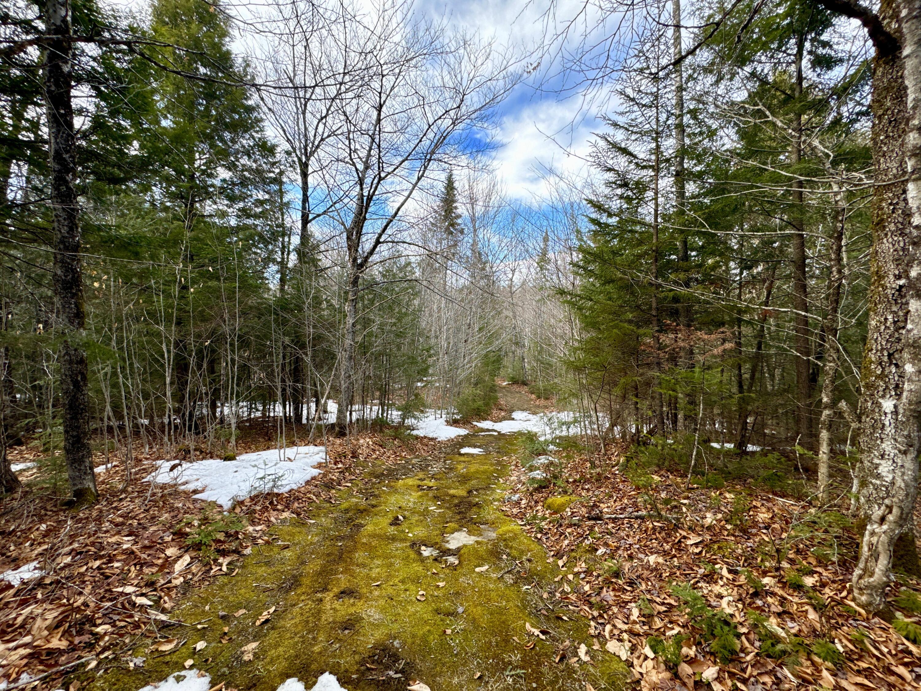 1301 Milo Road Sebec, ME 04481 - Photo 6 of 7 IMG_2904