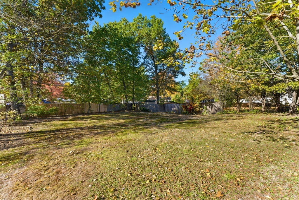 22 Phelps Street Easthampton, MA 01027 - Photo 6 of 42 a view of yard with swimming pool and trees