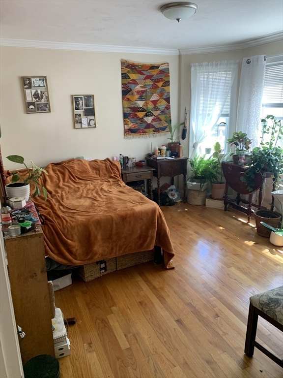 2957 Washington Street, Unit 1 Boston, MA 02119 - Photo 4 of 9